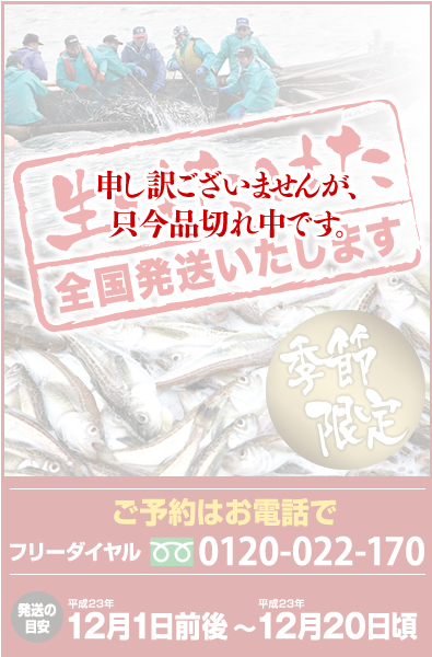 生はたはた　全国発送いたします　ご予約はお電話で　フリーダイヤル　0120-022-170　発送の目安　平成23年12月1日頃から12月20日頃
