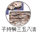 子持鰰三五八