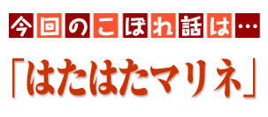 今回の商品は…