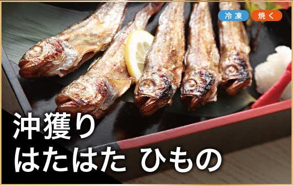 沖獲りはたはたひもの