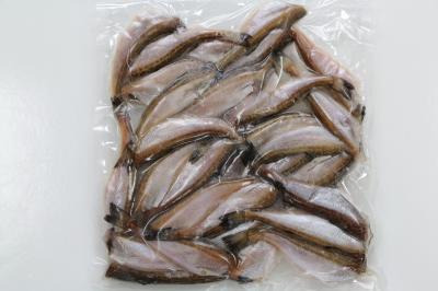 ”兵庫県産” 脂ノリノリ 無頭はたはた　500g