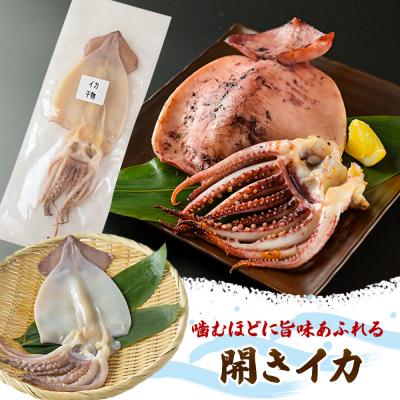 送料無料　開きイカ5枚セット